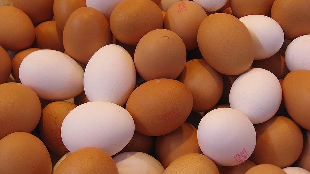 HUGE: Egg Companies Investigated For Coordinated Efforts To Restrict Supply, Sustain Inflated Prices