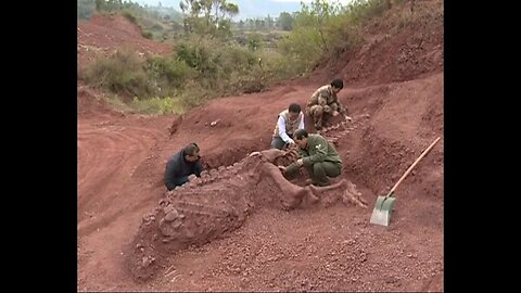 Stunning Discovery: 180 Million-Year-Old Dinosaur Fossils Unearthed in Southwest China"