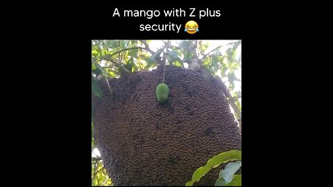 “When Life Gives You Funny Mood | Ultimate Meme Shorts” #FunnyMemes #MemeShorts #ViralVideo