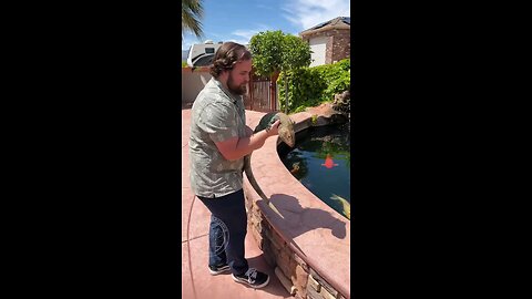 Throwback to our first viral reptile video!