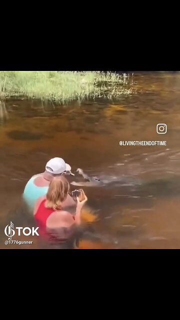FEEDING CROCODILES WITH TREATS IN FLORIDA RIVER💁‍♀️💁‍♂️🍗🐊💫