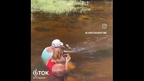 FEEDING CROCODILES WITH TREATS IN FLORIDA RIVER💁‍♀️💁‍♂️🍗🐊💫