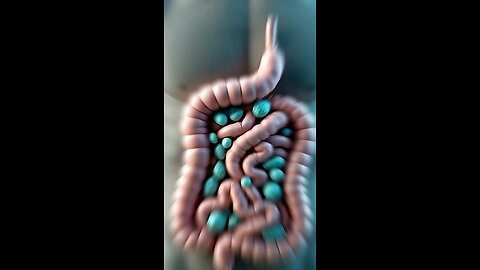 TOP 10 PROBIOTIC FOOD