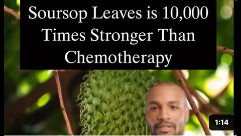 Soursop Leaves- a journey to cancer-free