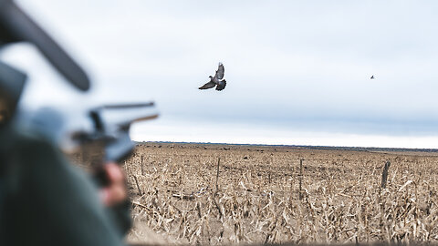 South America Upland Slam - La Pampa | Mark V. Peterson Hunting