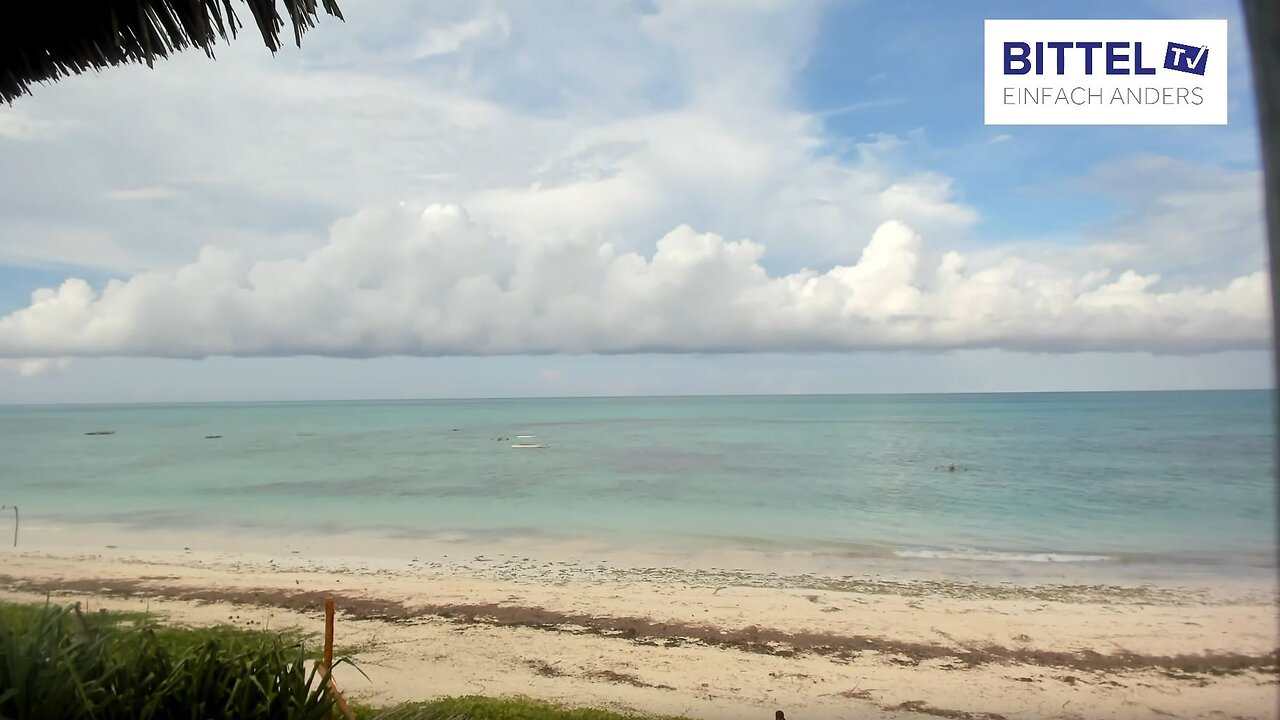 Blick aufs Meer - einfach geniessen - 27.03.2025
