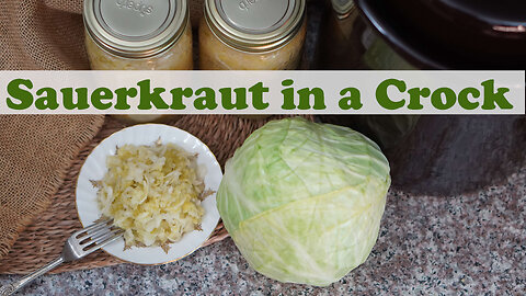 Homemade Sauerkraut in a Crock | Canning and Fermenting Sauerkraut Recipe