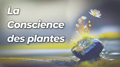 La Conscience des plantes | malibertv.tv