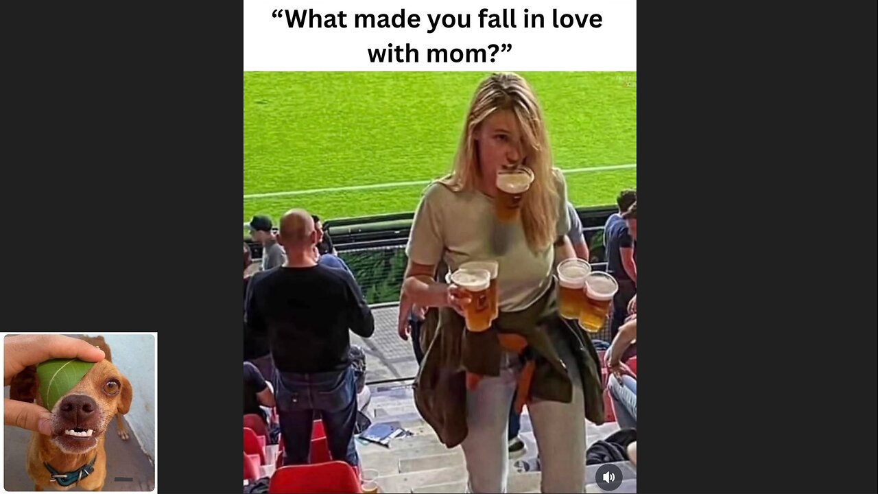 Memes That Will 99.0502% Make You Laugh. (e726)