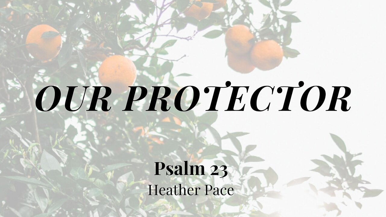 Our Protector (Psalm 23) | Women's Bible Study | Heather Pace