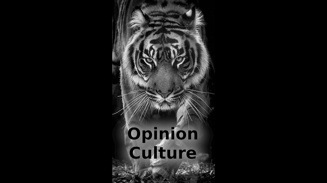 Ethan Hill 🎯 334 ~ Opinion Culture