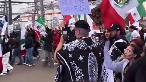 Large Group Terrorizes Drivers Blocking Streets In Dallas While Demanding Open Border With Mexico: 2