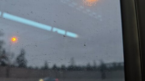 Early Bus January 2nd 2026 Redmond, WA