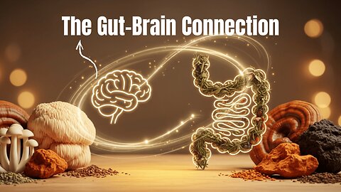 EP 120 - The Gut-Brain Connection: How Functional Mushrooms Support Mental Wellness