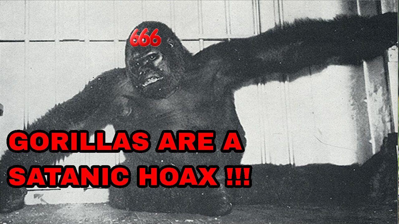 GORILLAS ARE A COMPLETE SATANIC HOAX!!!