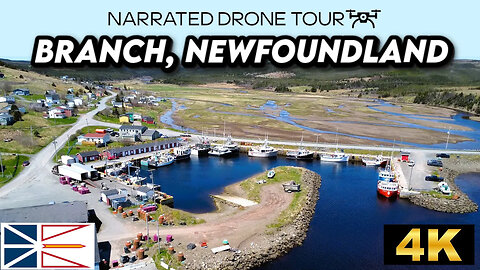 🌊 Branch, Newfoundland and Labrador 🏡 4K Drone
