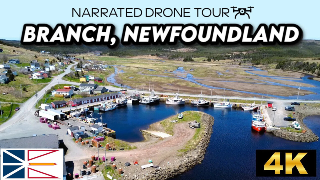 🌊 Branch, Newfoundland and Labrador 🏡 4K Drone