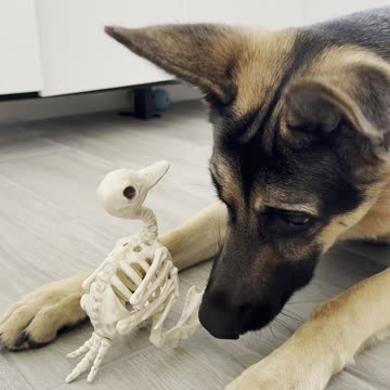 She had the final say