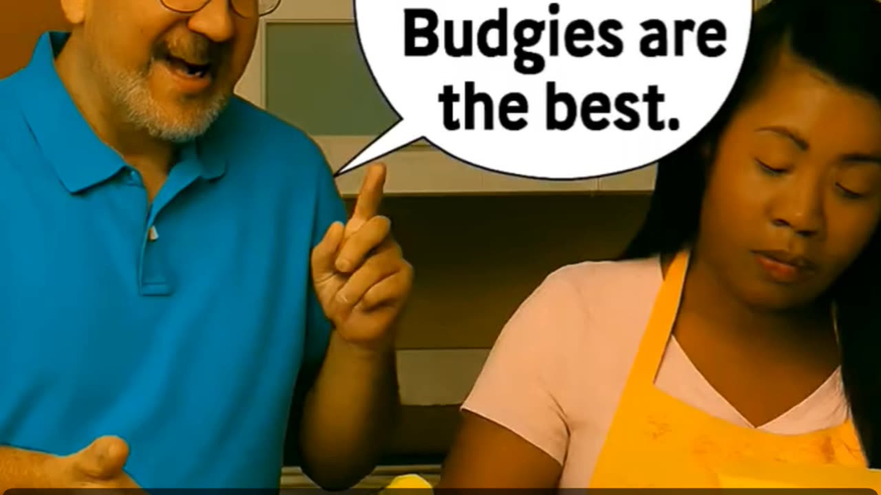 Budgie behavior