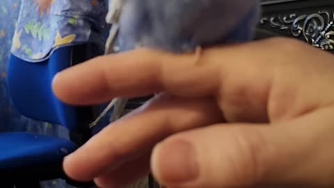 Herman Cuteness, Part XXXVII