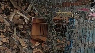 Loading Firewood in the Snow_ Easy, Quick, and Ready to Burn! #livingoffgrid #homesteading