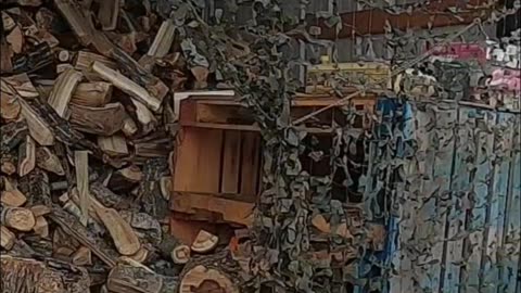 Loading Firewood in the Snow_ Easy, Quick, and Ready to Burn! #livingoffgrid #homesteading