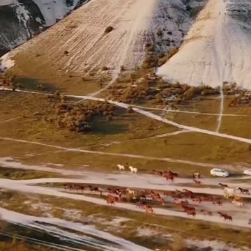 One of God’s awesome creations