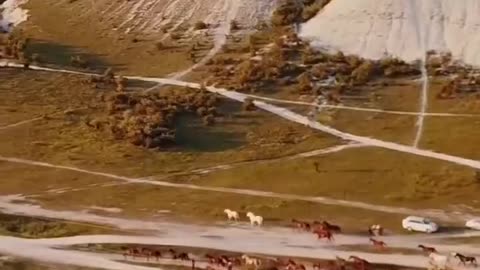 One of God’s awesome creations