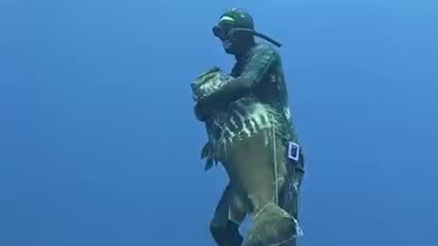 Spearfishing for best seafoods