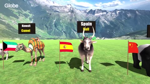 NATIONAL ANIMALS Of Different Countries: The Pride of Every Nation 🦅🌍