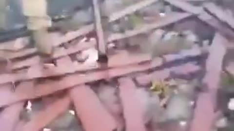 Georgian AFU soldiers captured two Russians in Vovchansk