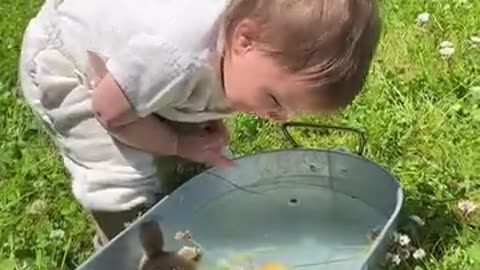 Cute baby funny video