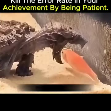 Reduce Mistakes with Patience