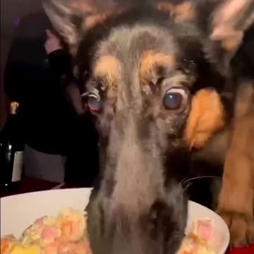 I stuff my face as you celebrate new year 😂