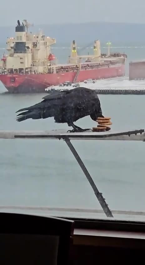 Me stuffing everything in one bag to avoid paying for second bag