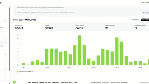 Here is the result and Rumble salary in 2025 that I earned on the account more than 6 months