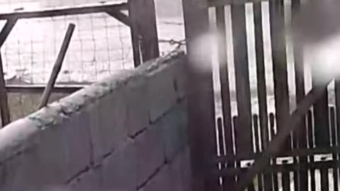 Tormenta repentina y corta con viento, lluvia y granizo en Tacuarembó (01/01/2026)