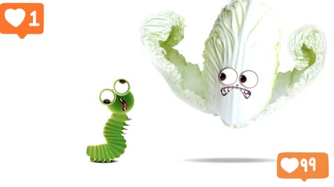 Animal Animation 😊😊