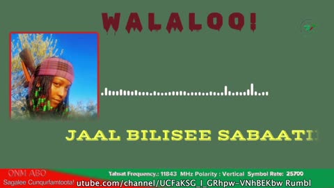 Qophii Walaloo ONM-ABO Amajjii 19-2025 itti dhiyaadhaa!