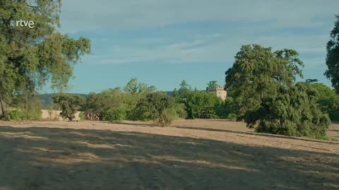 La Promesa - Capítulo 702 parte 3