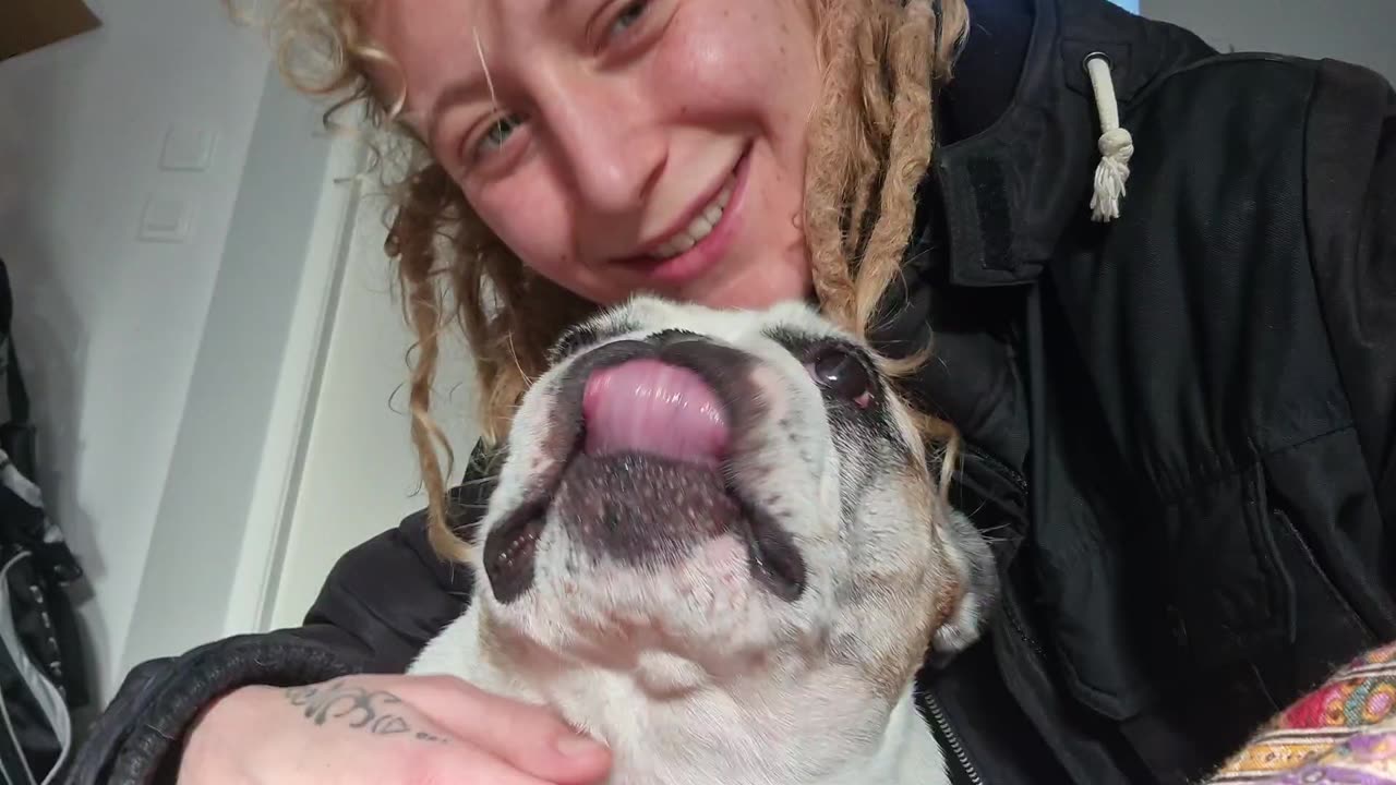 Part 42 building our cabin 🧽