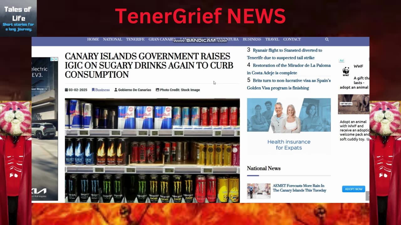 TenerGrief NEWS 20