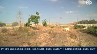 Israel Now News - Episode 584 - Dr. Aliza Lavie