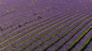 Breathtaking Aerial Drone Footage for Meditation