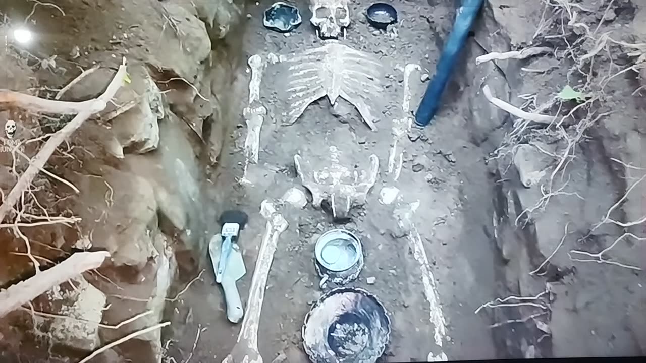 findings from within the grave