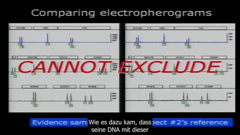 Dan Krane: Renommierter Molekularbiologe und Experte für DNA-Analysen