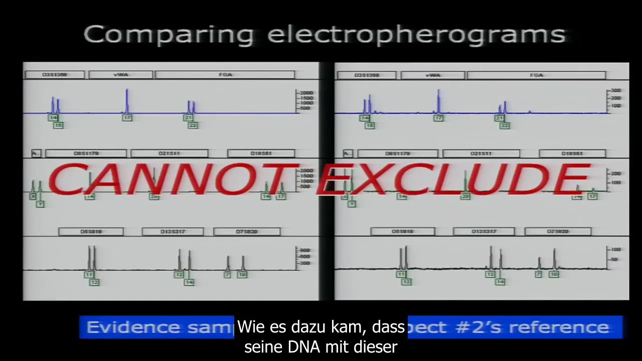Dan Krane: Renommierter Molekularbiologe und Experte für DNA-Analysen