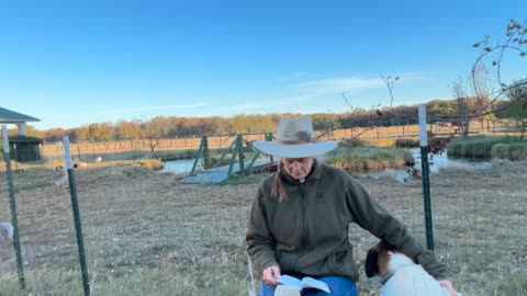 Morning Prayer, daily Office