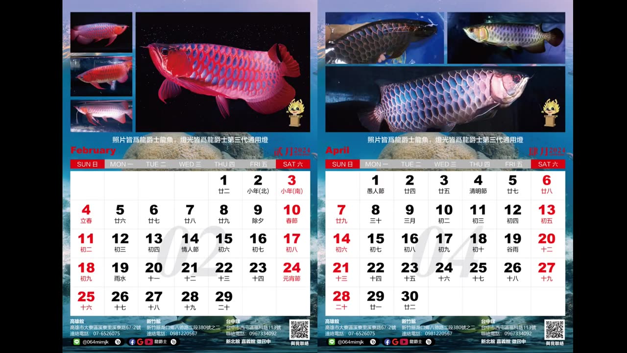 【龍爵士】千問千答 Q38 會在台中開店嗎