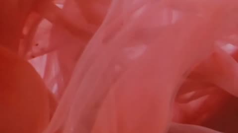 Daily Horoscope | Aquarius 🌟